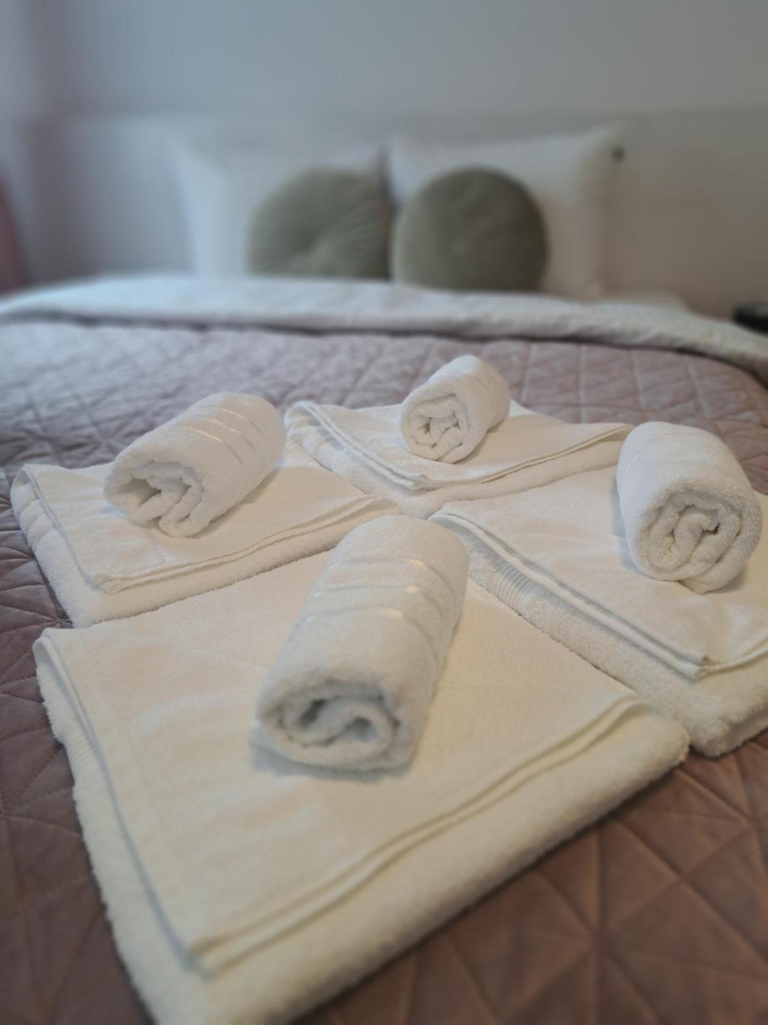 Studio With Free Parking In The Center - Deliamo 3 Sibiu Exterior foto