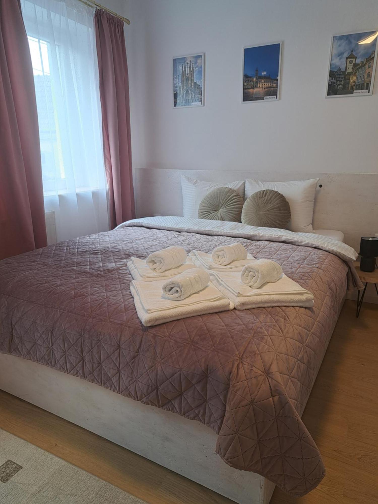 Studio With Free Parking In The Center - Deliamo 3 Sibiu Exterior foto