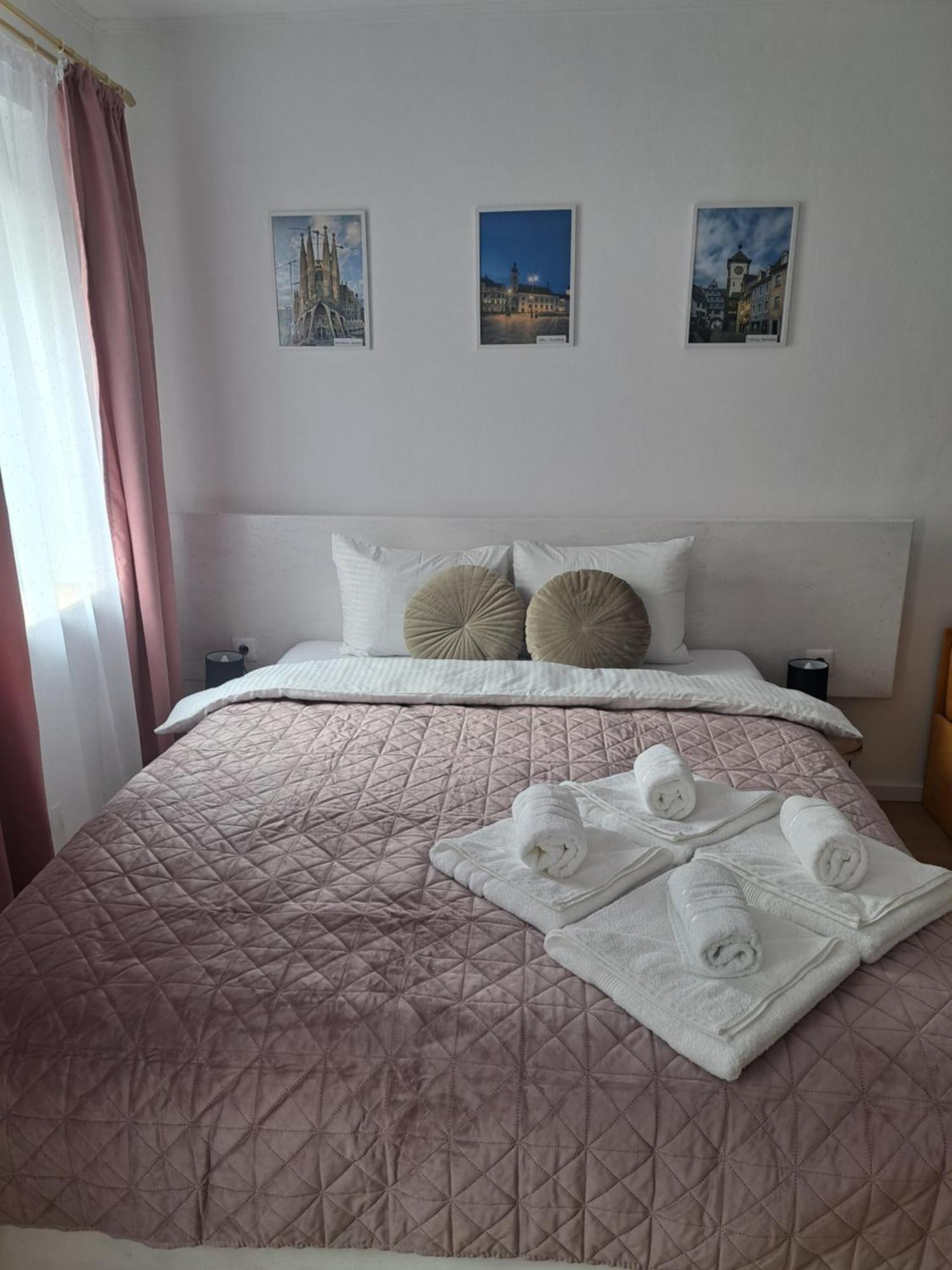 Studio With Free Parking In The Center - Deliamo 3 Sibiu Exterior foto