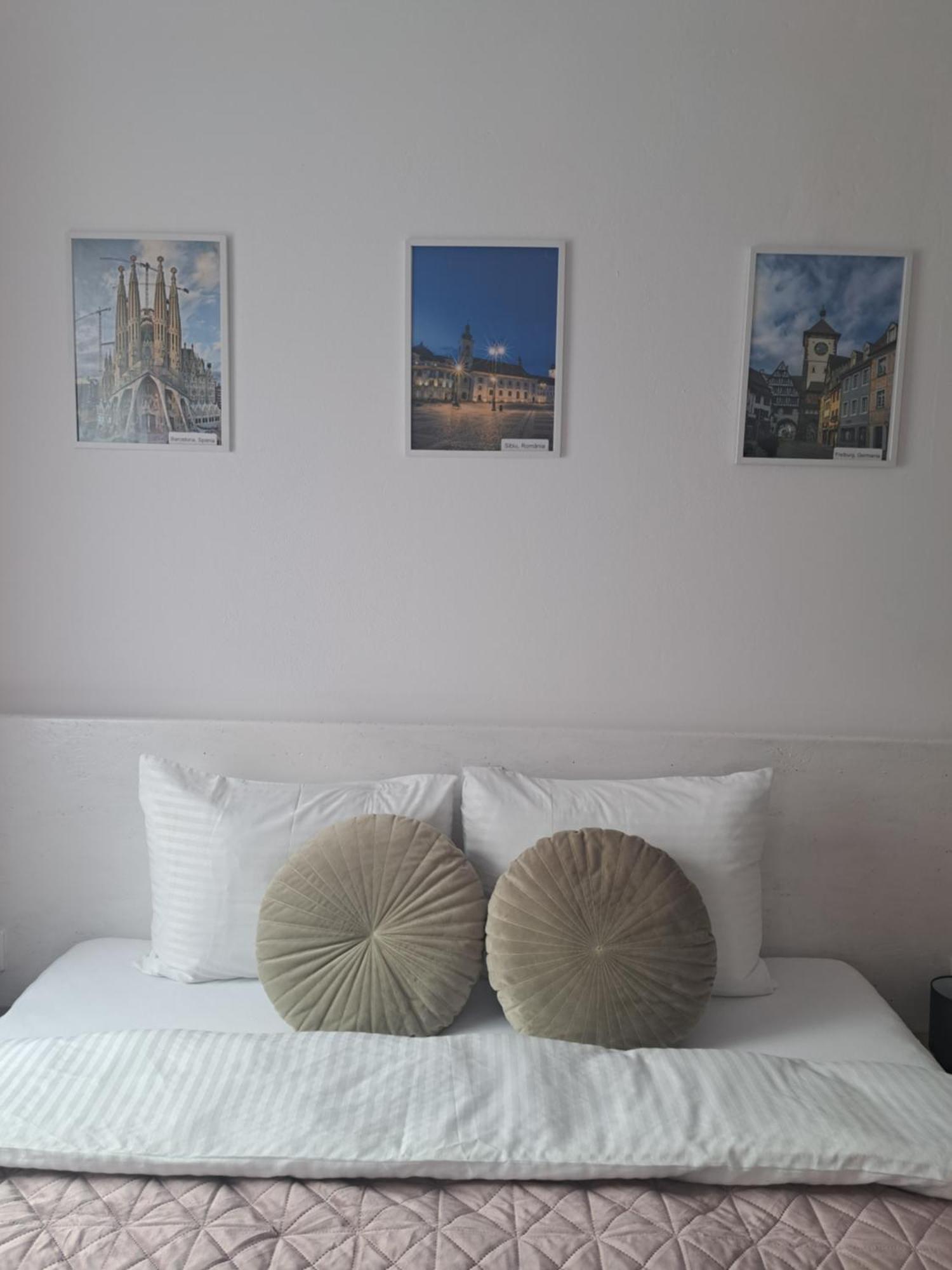 Studio With Free Parking In The Center - Deliamo 3 Sibiu Exterior foto
